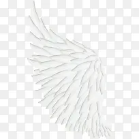 翅膀图片-空若网 翅膀图片-空若网