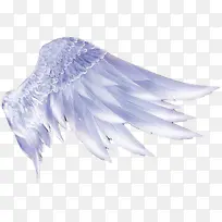 天使的翅膀-空若网 天使的翅膀-空若网