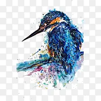 创意彩绘鸟-空若网 创意彩绘鸟-空若网