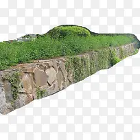 山勘山的小草-空若网 山勘山的小草-空若网