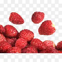 小草莓-空若网 小草莓-空若网