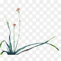 彩绘兰花草手绘古风-空若网 彩绘兰花草手绘古风-空若网