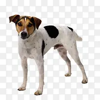 ��ڵ㹷-������