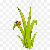 ����ư��-������