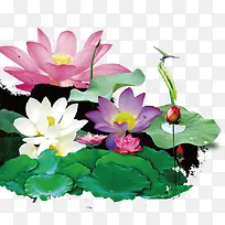 手绘鲜花-空若网 手绘鲜花-空若网