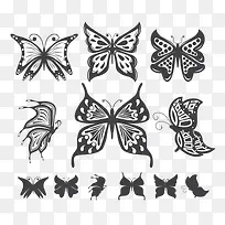 矢量手绘蝴蝶-空若网 矢量手绘蝴蝶-空若网