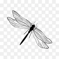 水墨蜻蜓-空若网 水墨蜻蜓-空若网