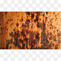 ����ĸְ屳��-������