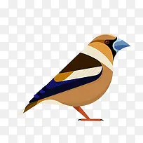 彩色的麻雀-空若网 彩色的麻雀-空若网