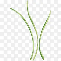 绿草装饰元素-空若网 绿草装饰元素-空若网