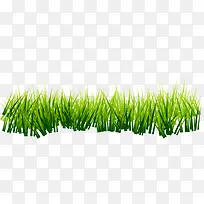 手绘绿色草丛小草-空若网 手绘绿色草丛小草-空若网