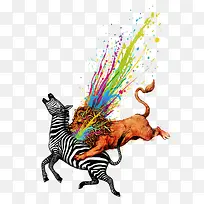 动物 狮子-空若网 动物 狮子-空若网