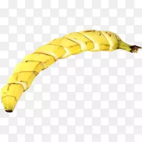 Ïã½¶À¥³æÎÞ¼¹×µ¶¯ÎïÓ׳æ-Ïã½¶-¿ÕÈôÍø Ïã½¶À¥³æÎÞ¼¹×µ¶¯ÎïÓ׳æ-Ïã½¶-¿ÕÈôÍø