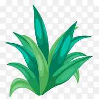 ��ɫС��-������