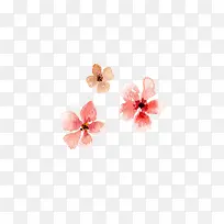 彩绘水彩-空若网 彩绘水彩-空若网