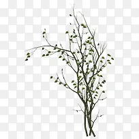 ϡ��Ҷ����֦С��-������