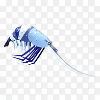 蓝白色大虾-空若网 蓝白色大虾-空若网