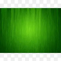 ��ɫ��˿��������-������