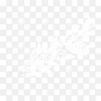 白雪树枝-空若网 白雪树枝-空若网