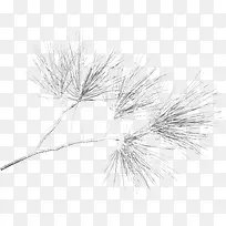 白雪白色枝叶-空若网 白雪白色枝叶-空若网