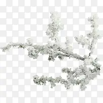 白雪树枝-空若网 白雪树枝-空若网