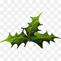 ����ʥ����Ҷ�Ӳ廭-������