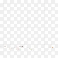 摄影沙滩效果活动图-空若网 摄影沙滩效果活动图-空若网