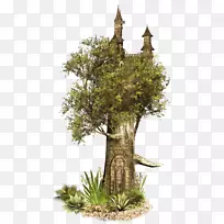 铁骑士动画铁菲系列摄影-松果-空若网 铁骑士动画铁菲系列摄影-松果-空若网