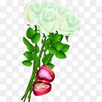 ��ɫ�ֻ�õ��-������