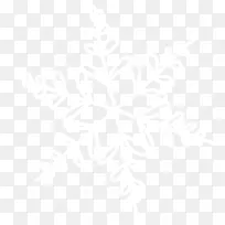 白色雪花-空若网 白色雪花-空若网