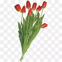 �����㻨��������-«��-������