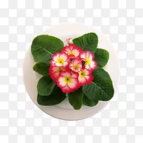 ���Ͳ���-������