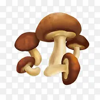 �㹽�廭-������