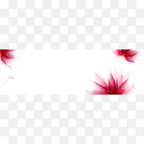 边饰花朵白色-空若网 边饰花朵白色-空若网