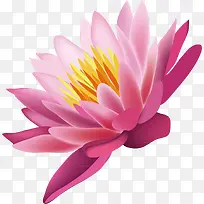 莲花装饰设计矢量-空若网 莲花装饰设计矢量-空若网