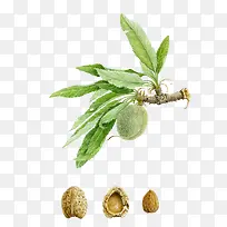 �ֻ������֦-������