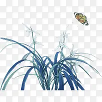 兰花草-空若网 兰花草-空若网