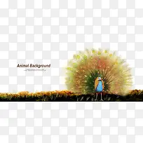 ��ȸ�������ʻ��ز�-������