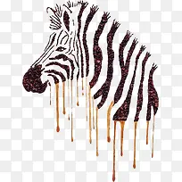 动物图像-空若网 动物图像-空若网