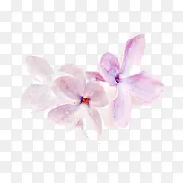 �Ϸ�����-������