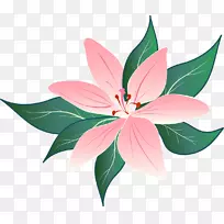 开花植物花瓣叶开花植物-礼来-空若网 开花植物花瓣叶开花植物-礼来-空若网