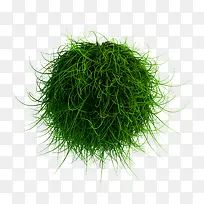 ²ÝÇò -¿ÕÈôÍø ²ÝÇò -¿ÕÈôÍø