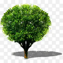 ��ɫ�޼���Ĵ���-������