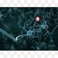 �����ѧ����-������