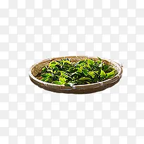 绿色茶叶产品素材-空若网 绿色茶叶产品素材-空若网