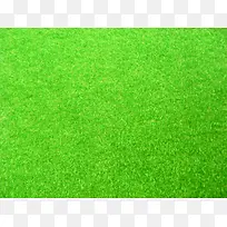 ÂÌÉ«²ÝµØ±³¾°-¿ÕÈôÍø ÂÌÉ«²ÝµØ±³¾°-¿ÕÈôÍø