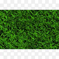 草地背景-空若网 草地背景-空若网