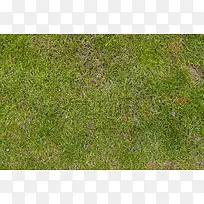 绿地背景-空若网 绿地背景-空若网