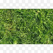 草地背景-空若网 草地背景-空若网