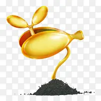 黄金豆芽-空若网 黄金豆芽-空若网